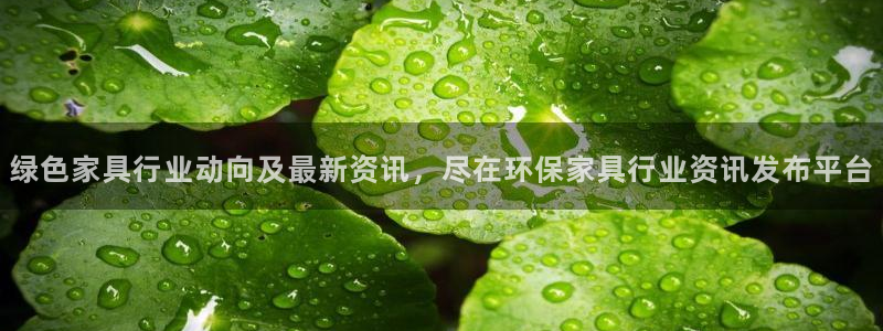 杏耀官网登陆：绿色家具行业动向及最新资讯，尽在环保家具行业资