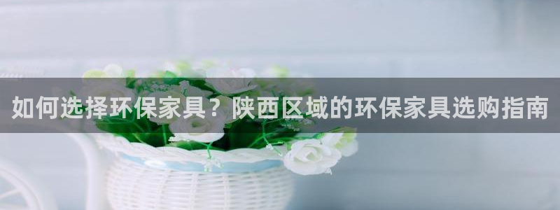 杏耀怎么注册：如何选择环保家具？陕西区域的环保家具选购指南
